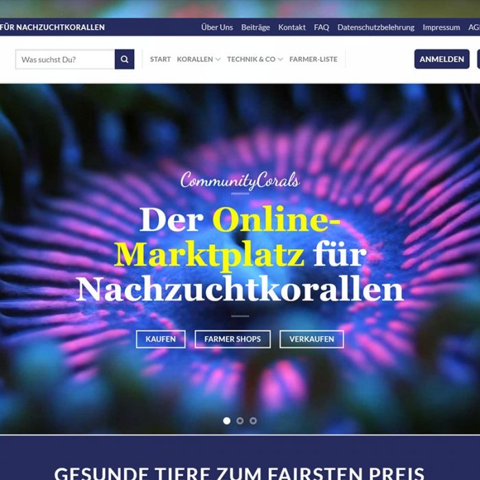 Community Corals Community Corals