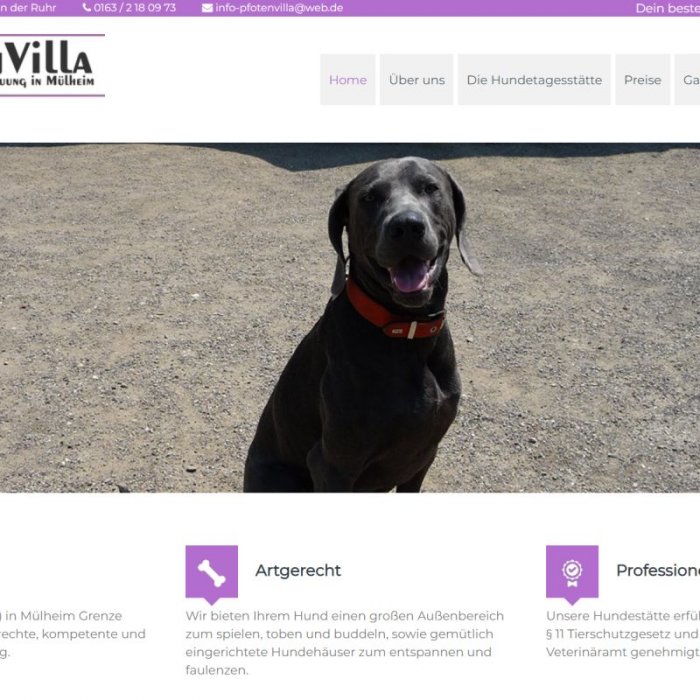 Pfotenvilla Pfotenvilla